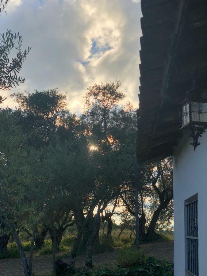 Вилла Casa Papiqui Фуэнтеэридос Экстерьер фото